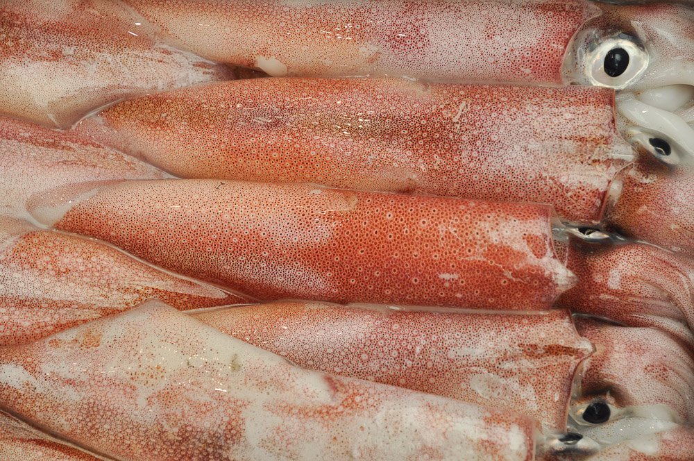 🛍️ 생선 선반 상점가(우오노타나 쇼텐가이) 이미지 3